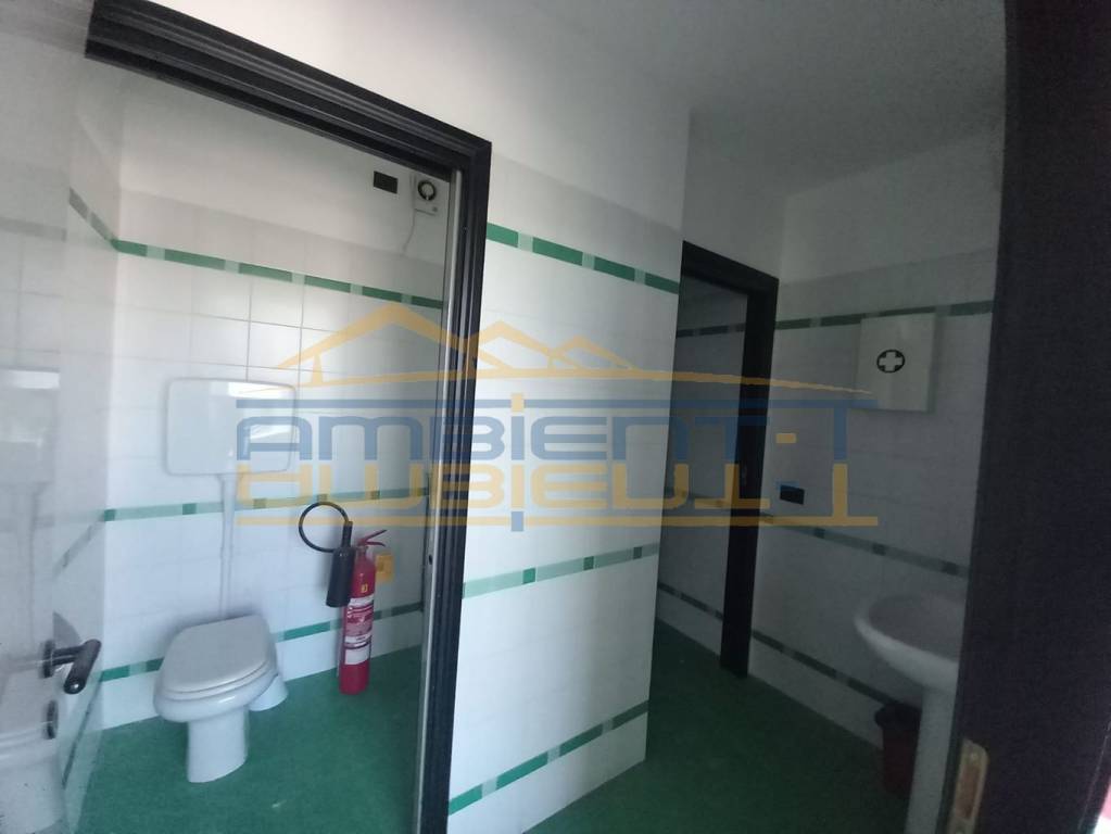 immagine annuncio 7 di 14