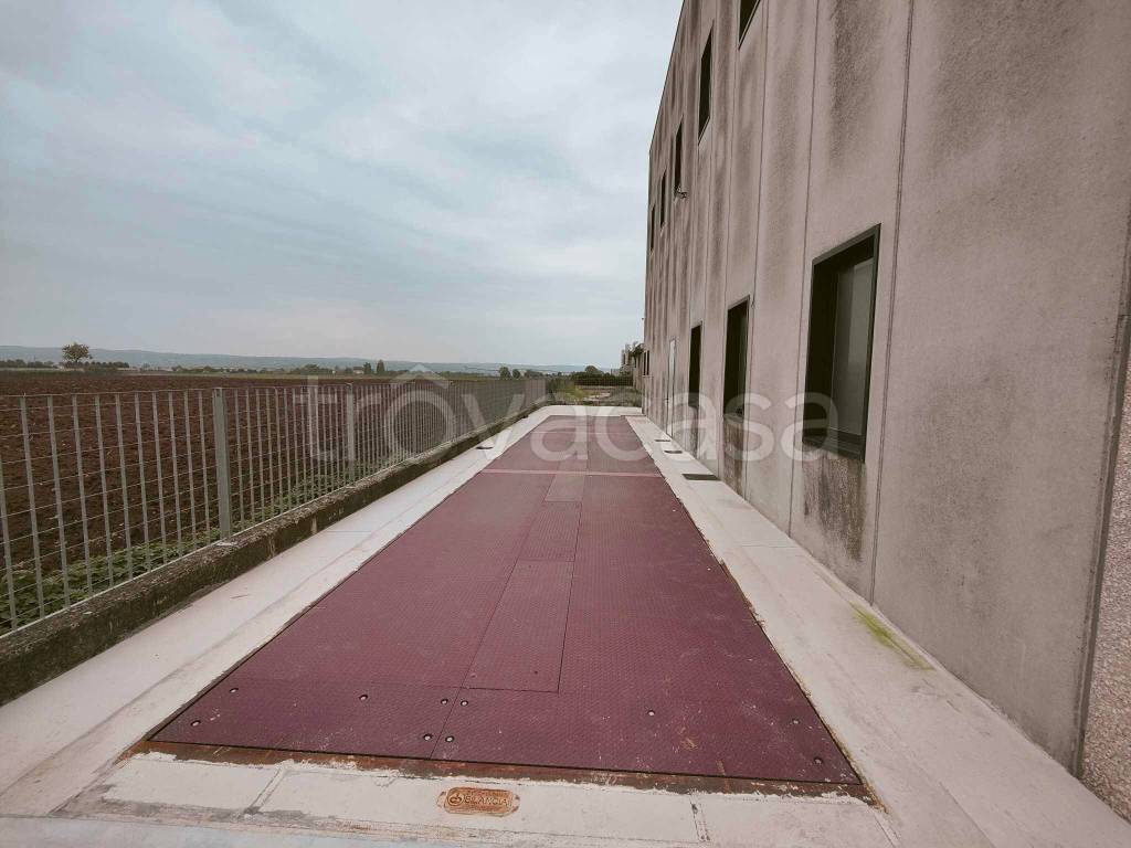 immagine annuncio 5 di 13