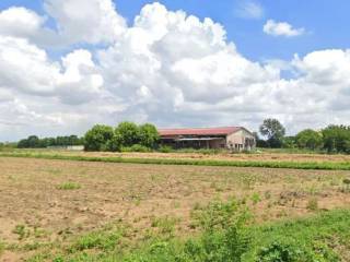 Terreno agricolo in vendita a limena via braghetta