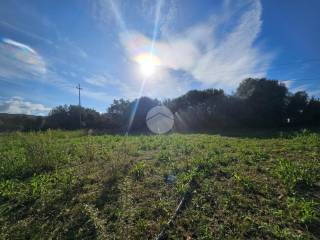 Terreno agricolo in vendita a quartucciu via delle more