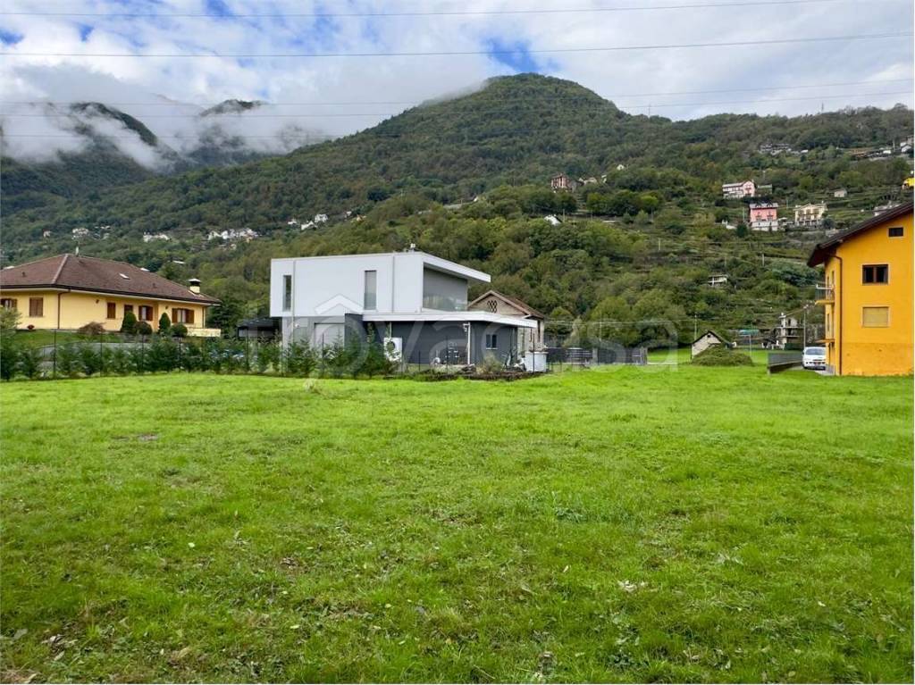 immagine annuncio 5 di 8