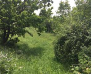 Terreno agricolo in vendita a isernia via occidentale