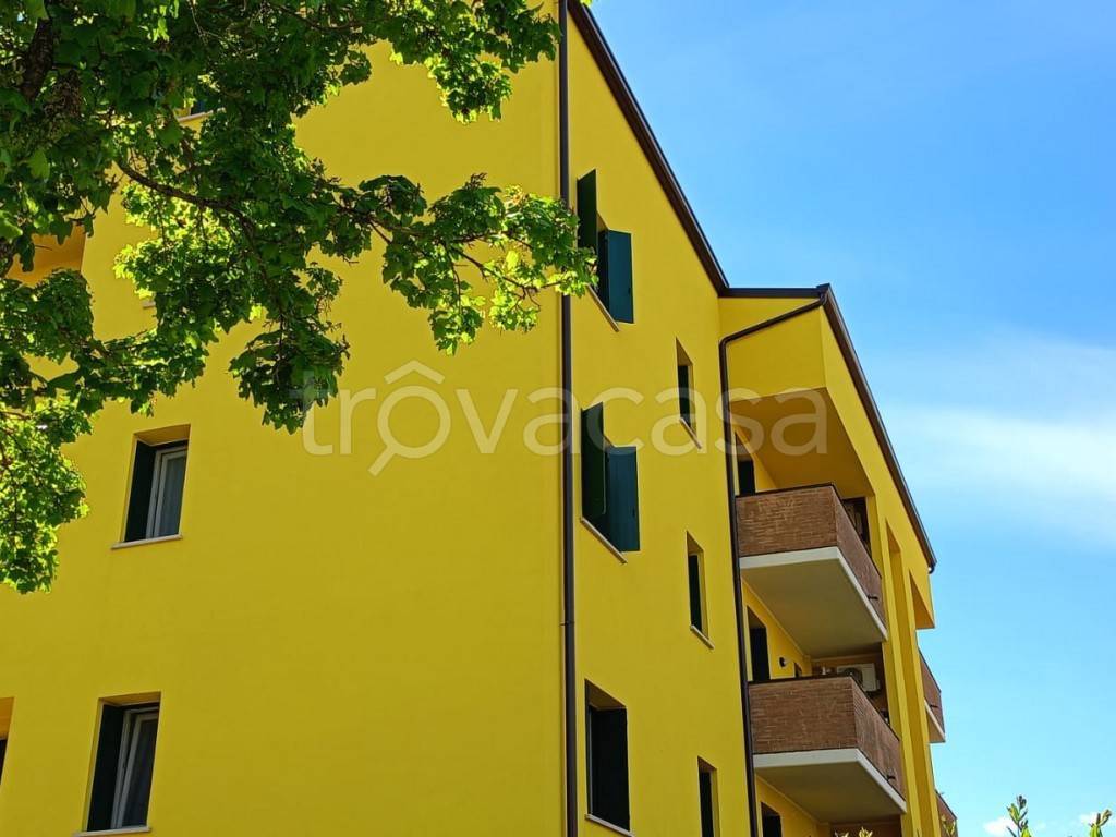 immagine annuncio 2 di 8