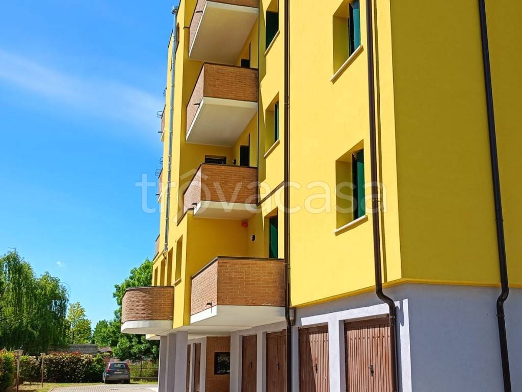 immagine annuncio 4 di 8