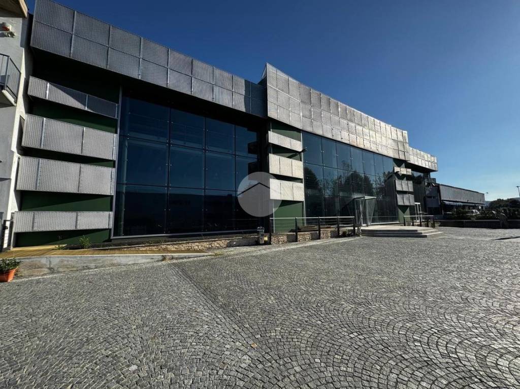 immagine annuncio 4 di 11