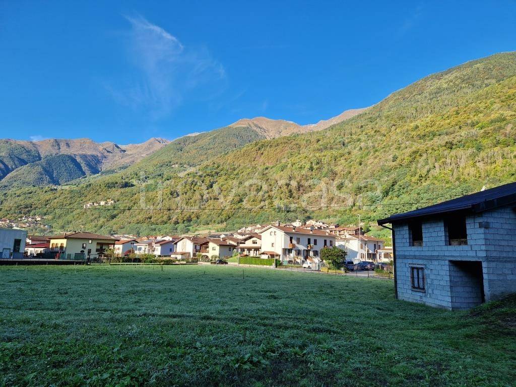 immagine annuncio 4 di 8