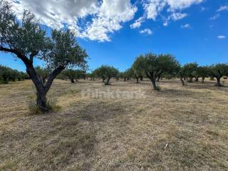 Terreno residenziale in vendita a noto sp19