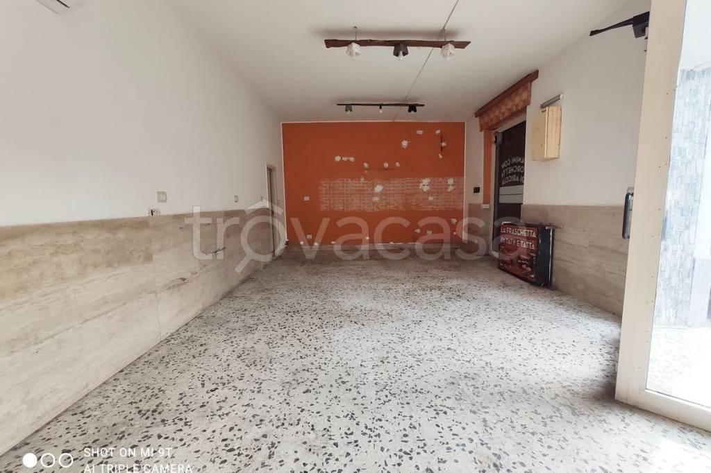 immagine annuncio 3 di 6