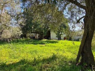 Terreno agricolo in vendita ad alghero loc. sa londra