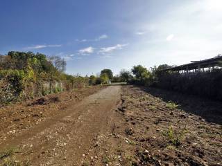 Terreno agricolo in vendita a brugherio via san maurizio al lambro