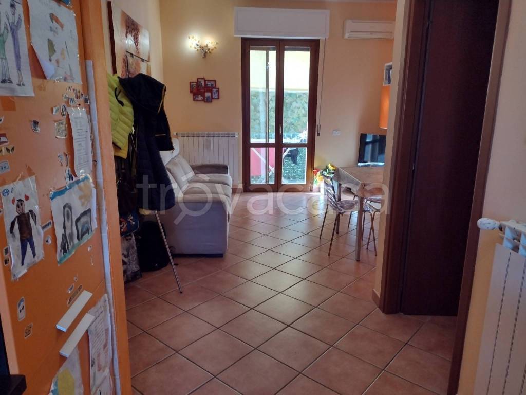 immagine annuncio 2 di 6