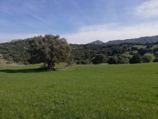 Terreno agricolo in vendita a loiri porto san paolo sp110