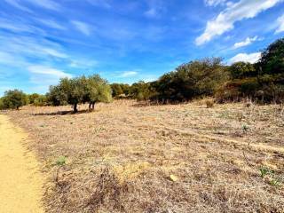 Terreno agricolo in vendita a loiri porto san paolo sp87