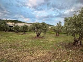 Terreno residenziale in vendita a settingiano via gambieri 24