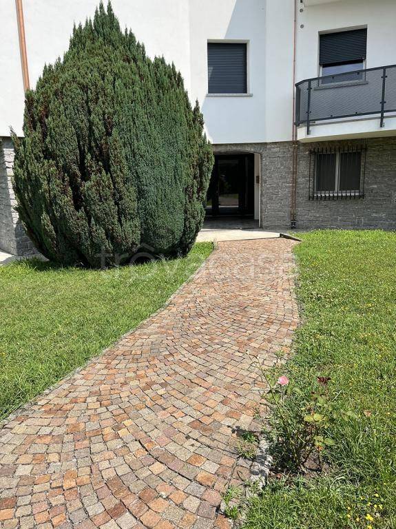 immagine annuncio 5 di 8