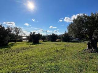 Terreno residenziale in vendita a catanzaro via della pineta