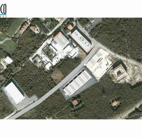 immagine annuncio 4 di 8