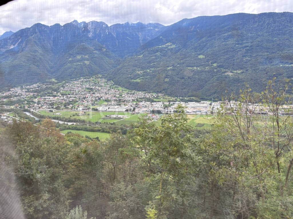 immagine annuncio 2 di 14