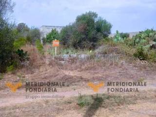 Terreno agricolo in vendita a lecce 