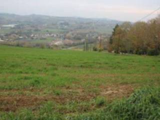 Terreno agricolo in vendita a forlì via delle caminate