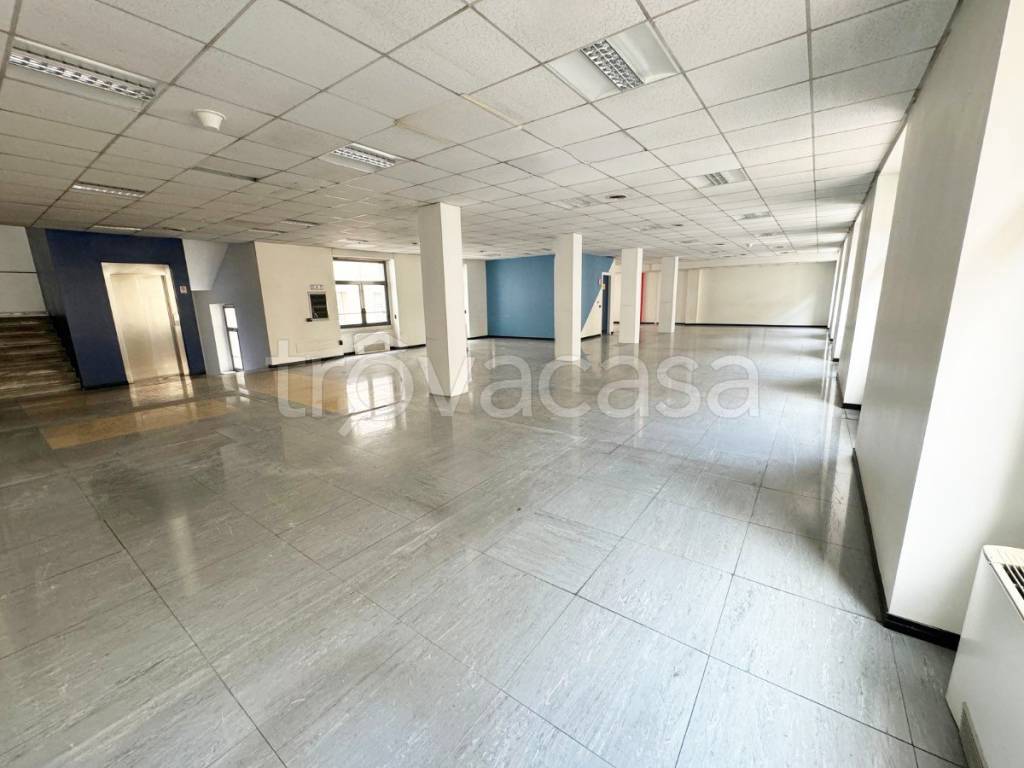 immagine annuncio 1 di 9