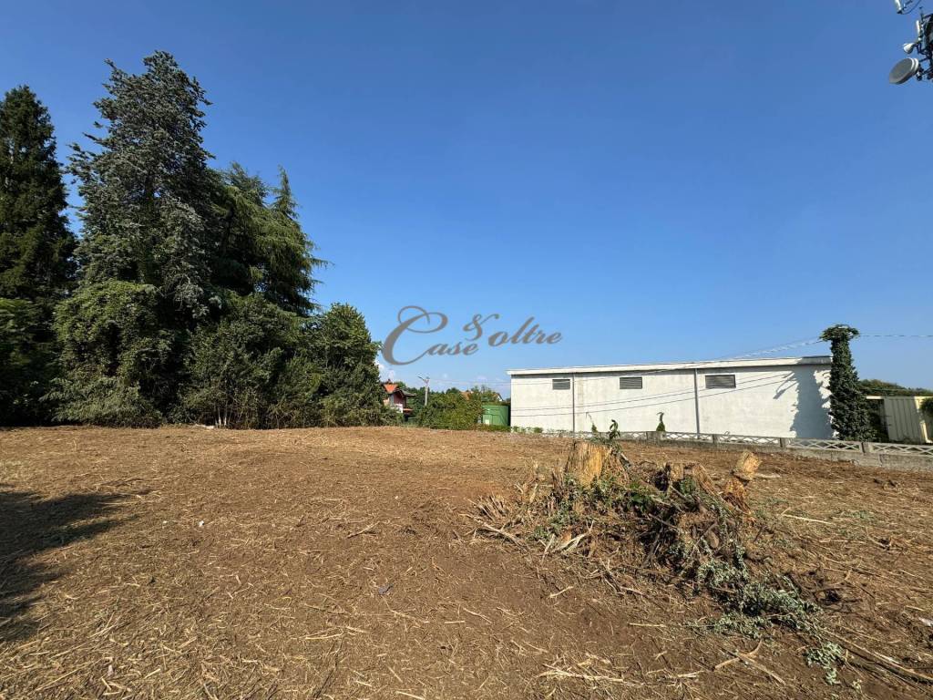 immagine annuncio 5 di 8