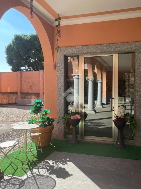 immagine annuncio 2 di 12