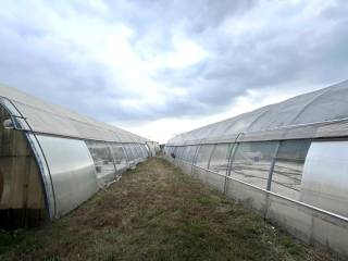 Terreno agricolo in affitto a san zenone degli ezzelini via caozocco, 47