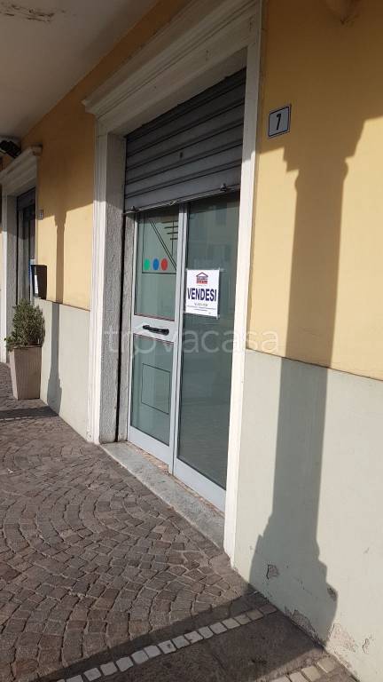 immagine annuncio 5 di 15