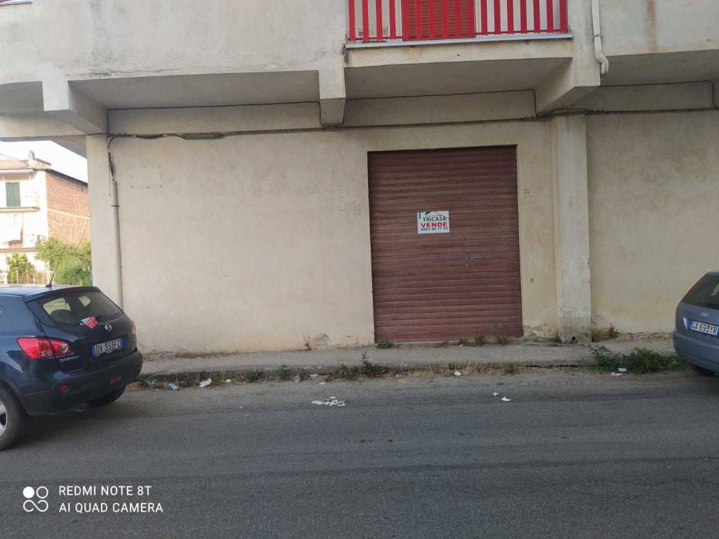 immagine annuncio 1 di 2
