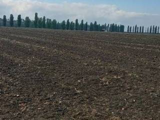 Terreno agricolo in vendita a copparo 