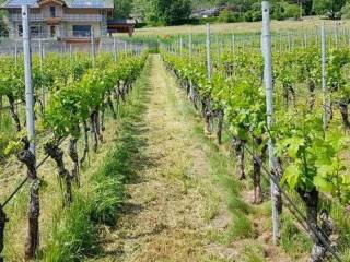 Terreno agricolo in vendita a faenza via rio biscia