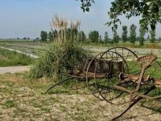 Terreno agricolo in vendita a ostellato 