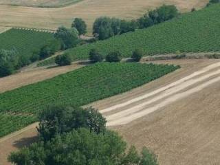 Terreno agricolo in vendita a imola via montanara 12