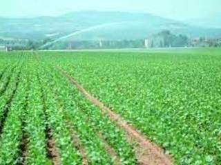 Terreno agricolo in vendita a macerata villa potenza