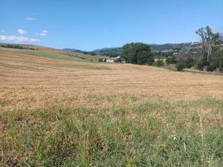 Terreno agricolo in vendita a san severino marche nazionale s.n.c.