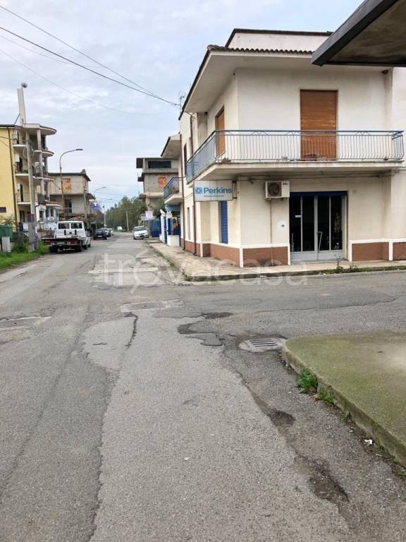 immagine annuncio 2 di 8