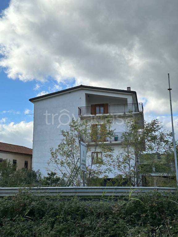 immagine annuncio 2 di 8