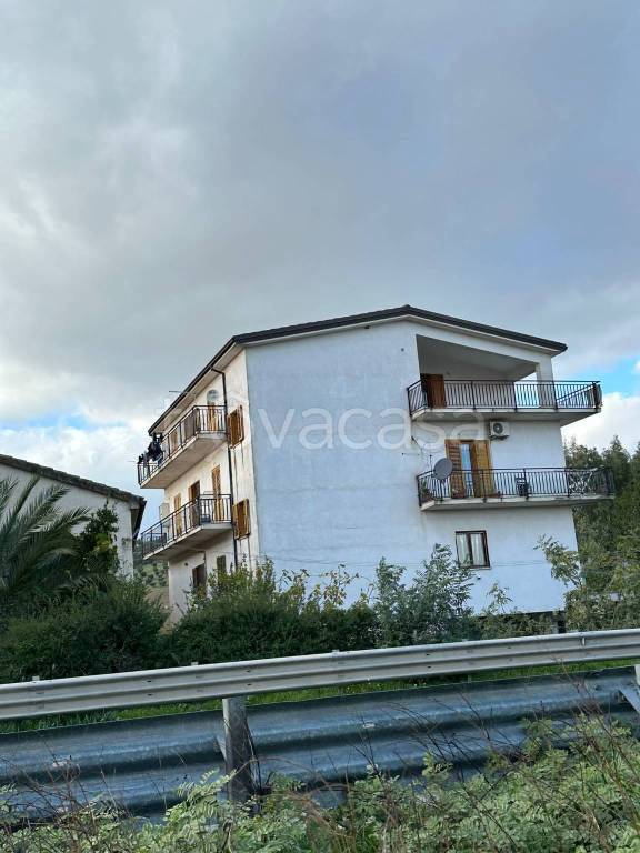 immagine annuncio 4 di 8