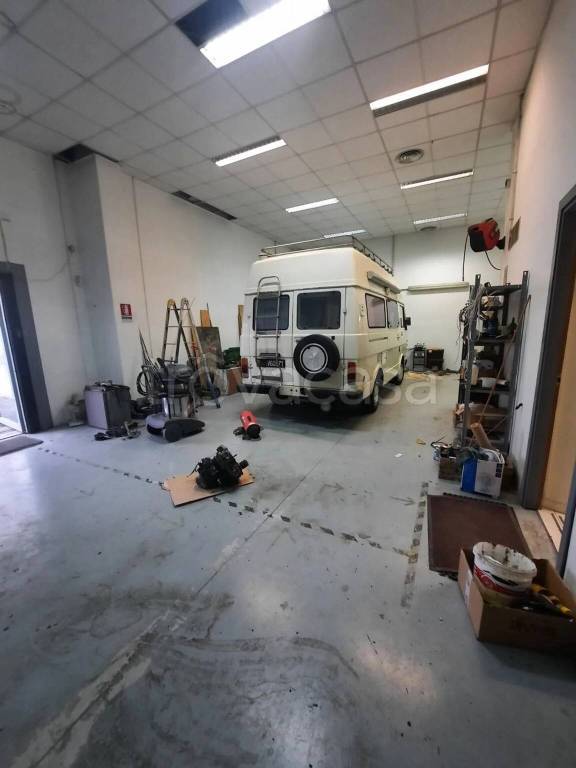 immagine annuncio 5 di 11