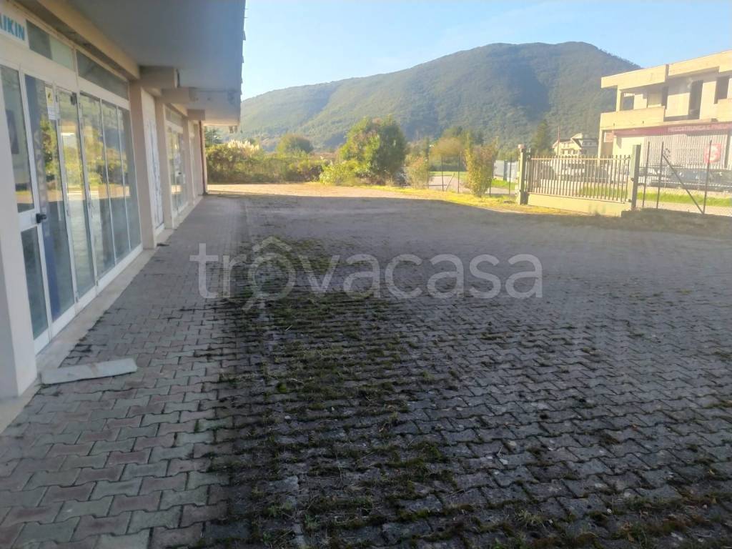 immagine annuncio 1 di 6