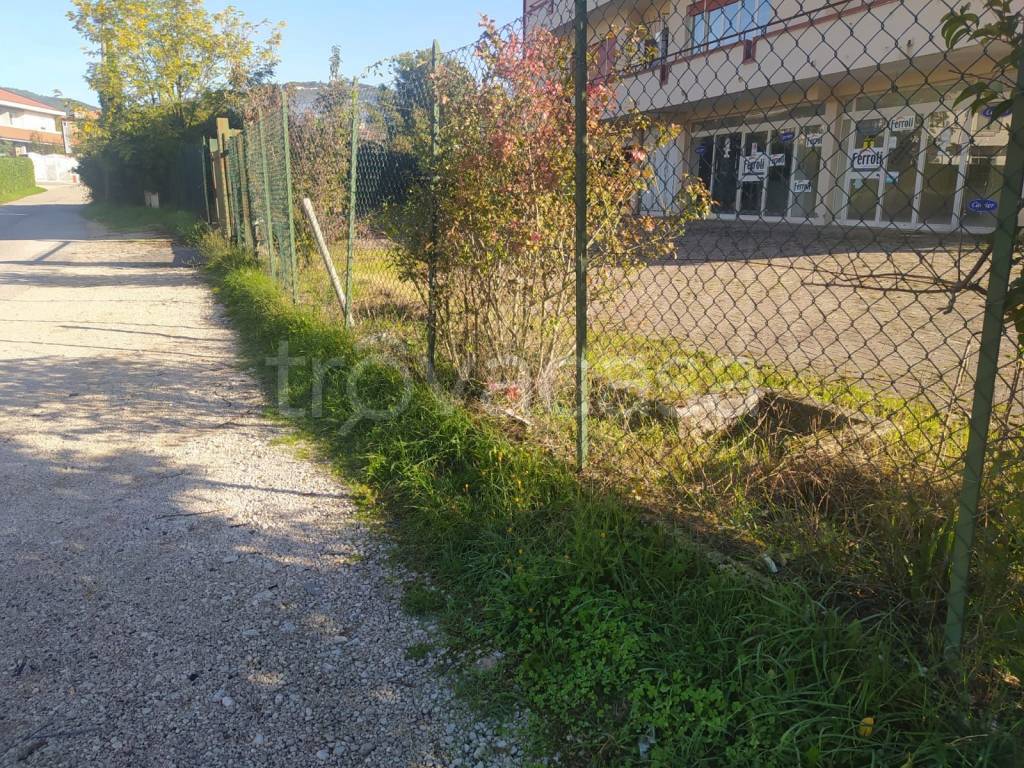 immagine annuncio 2 di 6
