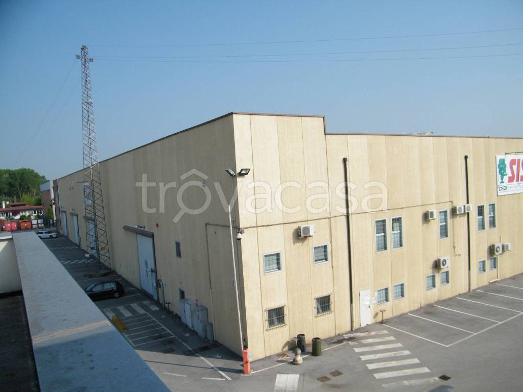 immagine annuncio 2 di 12