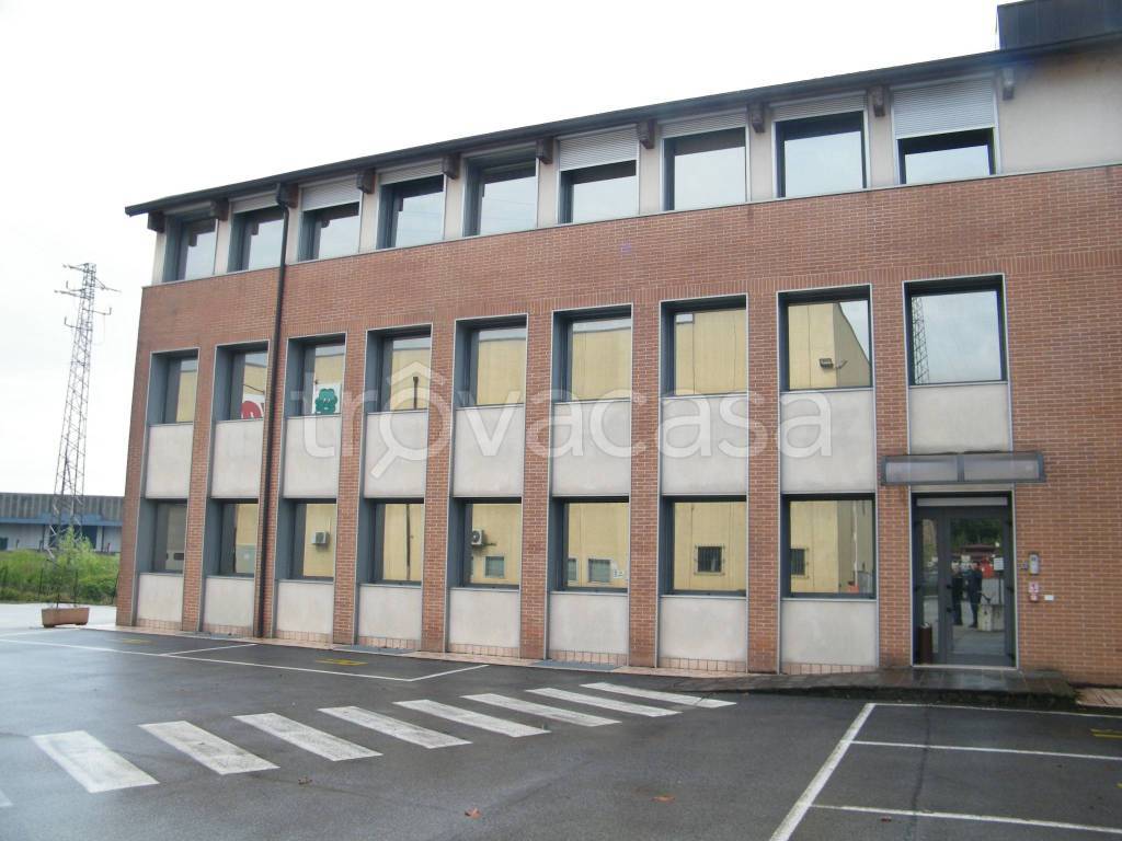 immagine annuncio 4 di 12