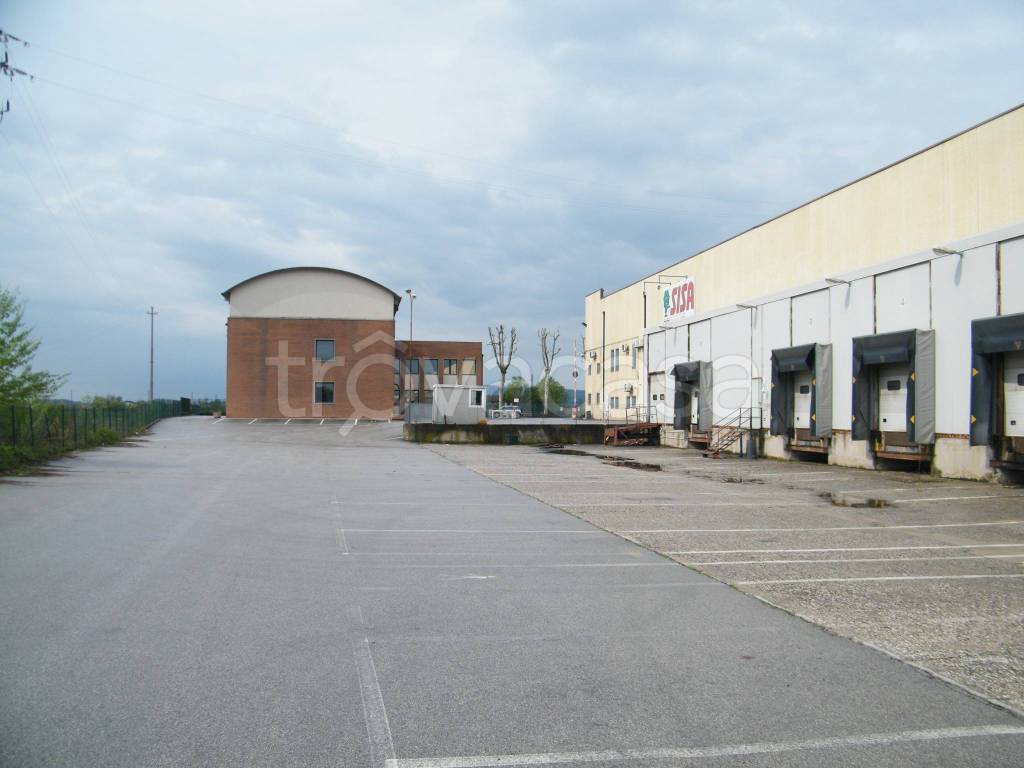 immagine annuncio 9 di 12