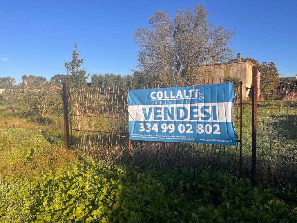 immagine annuncio 9 di 14