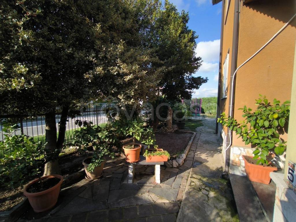 immagine annuncio 2 di 15