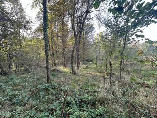 Terreno agricolo in vendita a nibionno via alessandro volta