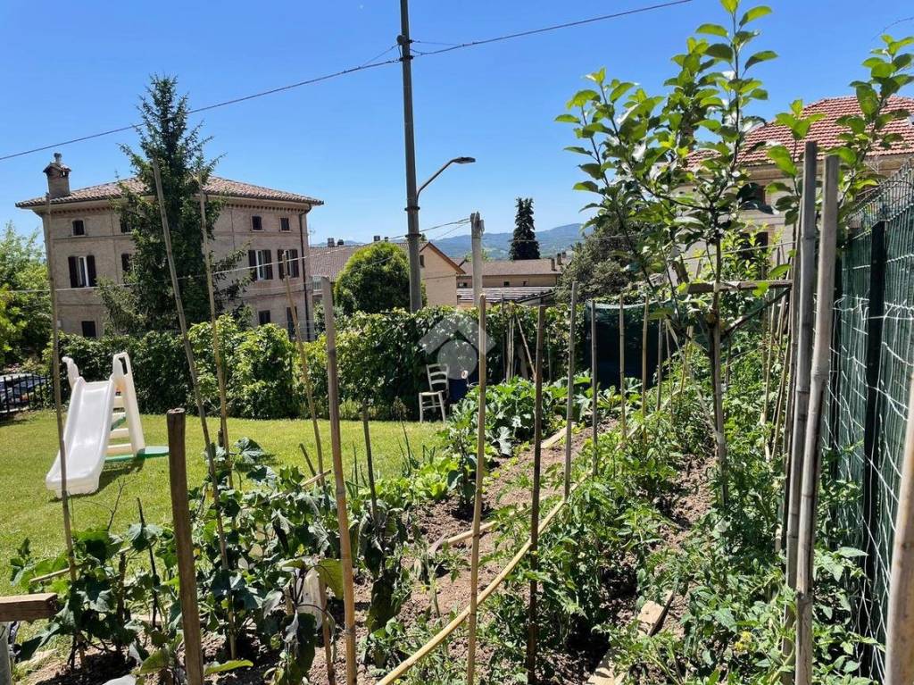 immagine annuncio 8 di 9