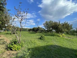 Terreno agricolo in vendita a pesaro strada di raschieto